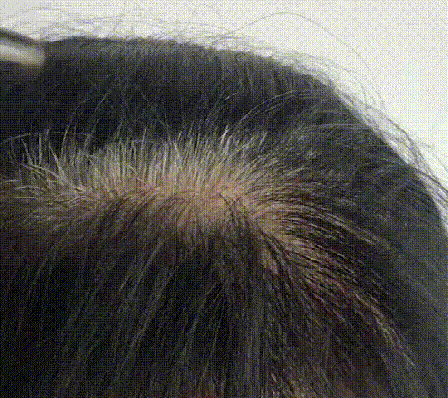 1683625833375529.gif